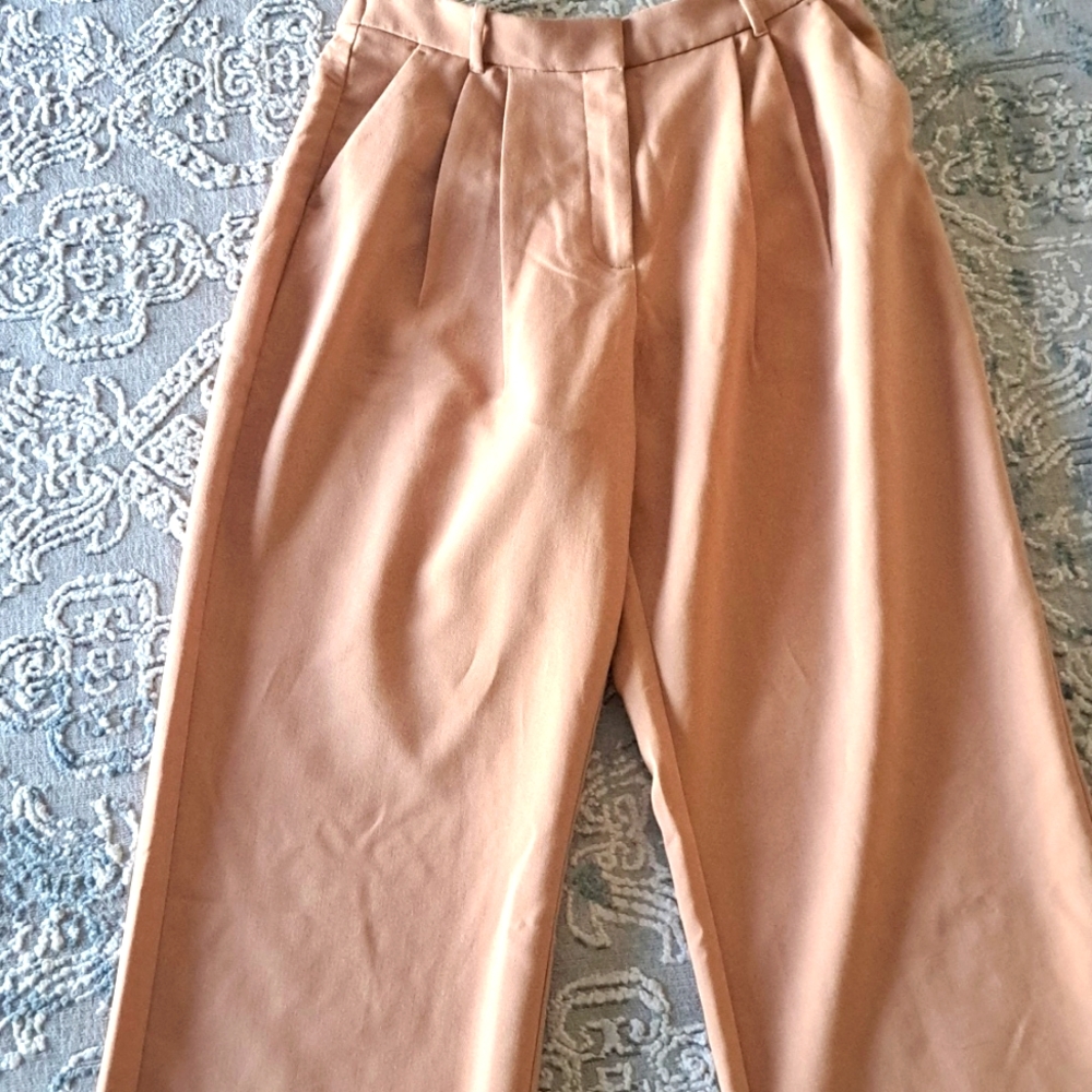 Dress pants